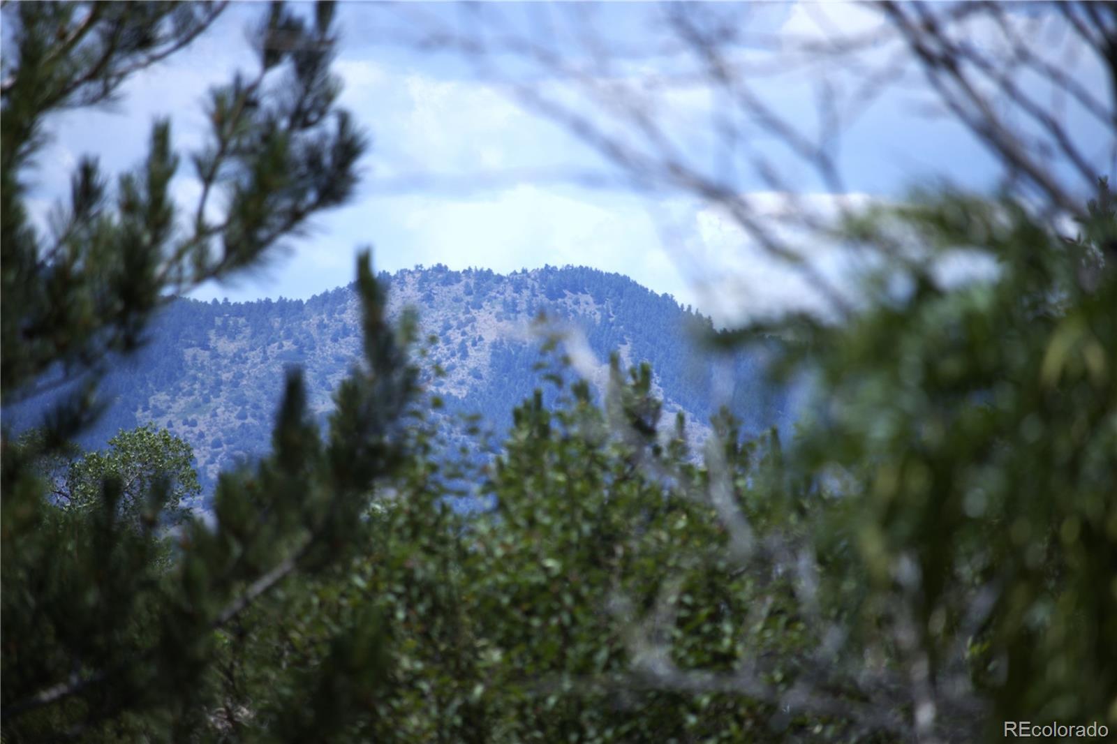 Photo #36
