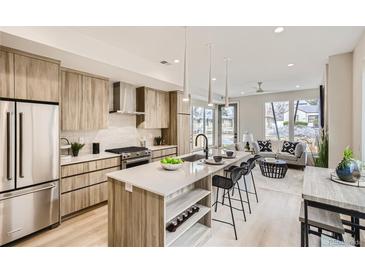 Modern kitchen with stainless steel appliances and ample counter space at 2313 S High St, Denver, CO 80210