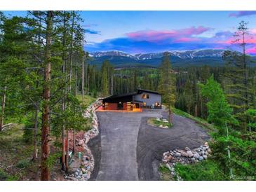 Mountain home with driveway and landscaping at 133 Adams Way, Breckenridge, CO 80424
