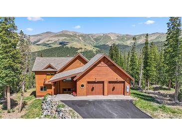 Photo one of 384 Camron Ln Breckenridge CO 80424 | MLS 5513816