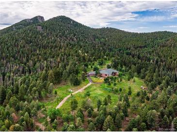 Photo one of 26271 Richmond Hill Rd Conifer CO 80433 | MLS 6951712