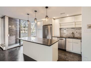 Modern kitchen with island, stainless steel appliances, and white cabinets at 955 Eudora St # 101E, Denver, CO 80220