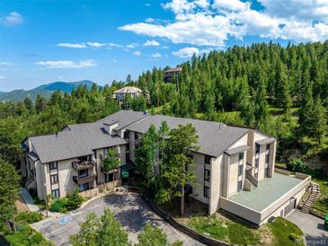 Photo one of 31270 John Wallace Rd # 211 Evergreen CO 80439 | MLS 8272121