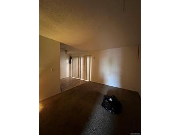 Large living room with carpeted floors and access to other rooms at 10772 E Exposition Ave # 141, Aurora, CO 80012