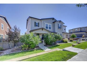 Two-story townhome with gray siding, landscaping, and a walkway at 3356 Ireland Moss St, Castle Rock, CO 80109