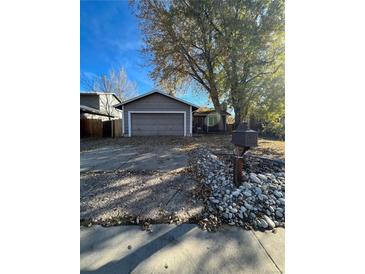Ranch style home with attached garage and mature tree in front yard at 3658 S Norfolk Way, Aurora, CO 80013