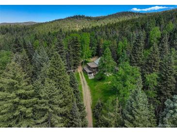 Photo one of 11173 S Barney Gulch Rd Conifer CO 80433 | MLS 9422347