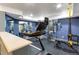 Home gym in the basement with various exercise equipment at 10364 Carriage Club Dr, Lone Tree, CO 80124