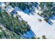 An aerial view shows the property amidst snowy evergreens at 3619 Estates Cir, Larkspur, CO 80118