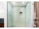 Walk-in shower with glass enclosure and mosaic tile at 2435 S Milwaukee St, Denver, CO 80210