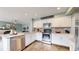 Modern kitchen with stainless steel appliances at 9866 Spring Hill Ln, Highlands Ranch, CO 80129