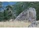 Picturesque view of unique rock formations amidst tall evergreen trees at 13927 Dancing Bear Trl, Littleton, CO 80127