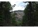 Scenic view of a rugged mountainside with lush trees framing the scene at 13927 Dancing Bear Trl, Littleton, CO 80127