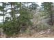 Image shows a rocky hillside covered with pine trees at 13927 Dancing Bear Trl, Littleton, CO 80127