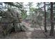 A rugged path winds through a natural landscape of rocks and pine trees at 13927 Dancing Bear Trl, Littleton, CO 80127