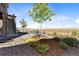 Landscaped backyard with patio and mature trees at 9785 Mount Kataka Pt, Littleton, CO 80125