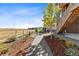 Landscaped backyard with patio and open space views at 9785 Mount Kataka Pt, Littleton, CO 80125
