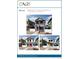 Three exterior elevations of a two-story home with various siding options at , Commerce City, CO 80022