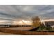 View of backyard, playground, and distant mountains at 10303 Pitkin Ct, Commerce City, CO 80022