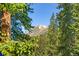 Scenic mountain view through trees; snow-capped peak in background at 654 County Road 672, Breckenridge, CO 80424