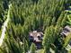 Aerial view of a charming log home nestled in a lush forest setting at 654 County Road 672, Breckenridge, CO 80424