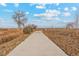 A long concrete path winds through a natural landscape at 2245 Alyssa St, Fort Lupton, CO 80621