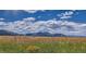 View of open space with tall grass and mountains in the background at 14556 W 91St Ave # D, Arvada, CO 80005