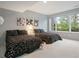 Spacious basement bedroom with two twin beds and plenty of natural light at 7 Elk Pointe Ln, Castle Rock, CO 80108