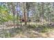Wooded backyard with tall trees and grassy areas at 1065 Independence Dr, Larkspur, CO 80118