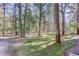 Pathway through a wooded area behind the house at 1065 Independence Dr, Larkspur, CO 80118
