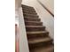 Carpeted staircase leading to the upper level of the home at 9464 Newton St, Westminster, CO 80031