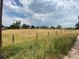 Vacant lot with mature grasses at 12380 York St, Thornton, CO 80241
