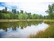 Serene pond reflecting the surrounding trees and sky at 23602 Pondview Pl, Golden, CO 80401