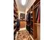 Spacious walk-in closet with ample shelving and hanging space at 5236 Bear Mountain Dr, Evergreen, CO 80439