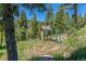 Playset with slide and swing set in a wooded setting at 12171 S Critchell Ln, Littleton, CO 80127