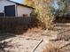 Backyard with mature tree and garden area at 765 S Krameria St, Denver, CO 80224
