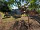 Backyard with raised garden beds and mature trees at 3901 E Orchard Rd, Centennial, CO 80121