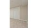Basement with neutral walls and double door closet at 2866 E Euclid Pl, Centennial, CO 80121
