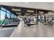 Spacious fitness center featuring rows of treadmills and other exercise equipment at 3813 Freestone Pt, Castle Rock, CO 80108