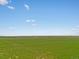 Aerial view of expansive green agricultural land at 165 S County Road 197, Byers, CO 80103