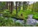 Small stream running through a lush green forest at 133 Adams Way, Breckenridge, CO 80424