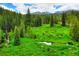 Lush green meadow with trees and a stream at 133 Adams Way, Breckenridge, CO 80424