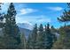 Spectacular mountain views from a wooded property at 72 Dyer Trl, Breckenridge, CO 80424