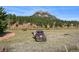 Rustic vintage truck in a field with mountain backdrop at 2677 S Platte River Rd, Sedalia, CO 80135