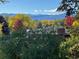 Stunning mountain views with autumn colors at 2789 S Ivan Way, Denver, CO 80227