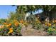 Landscaped backyard with colorful flowers and a partial view of the house at 7445 W Maple Dr, Lakewood, CO 80226