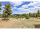 Image 4 of 50: 31682 Shadow Mountain Dr, Conifer