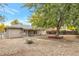 Landscaped backyard with firepit and large shade tree at 8467 W 62 Pl, Arvada, CO 80004