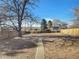 Large backyard with mature tree and wooden fence at 8311 Ogden St, Denver, CO 80229