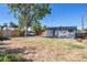 Large backyard with mature tree and spacious lawn at 1626 S Sheridan Blvd, Denver, CO 80232